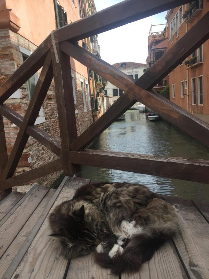 Tintoretto Vista Real Venezia Eksteriør bilde